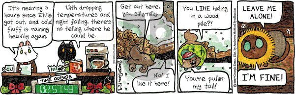 Breaking Cat News on Saturday December 2, 2017 Comic Strip
