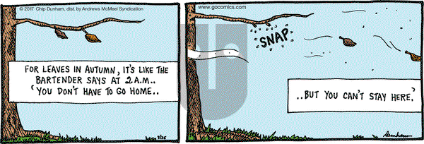 Overboard on Tuesday September 26, 2017 Comic Strip