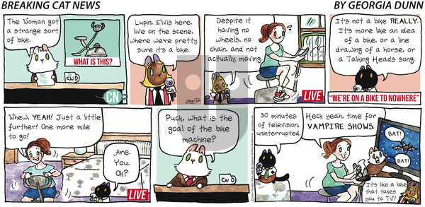 Breaking Cat News on Sunday September 6, 2020 Comic Strip