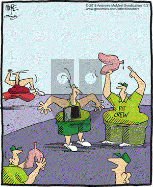 In the Bleachers on Wednesday November 21, 2018 Comic Strip