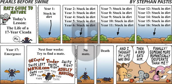 Pearls Before Swine on Sunday December 11, 2016 Comic Strip