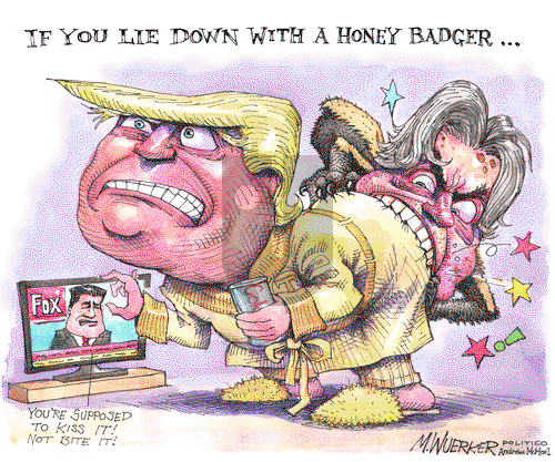 Matt Wuerker on Friday January 5, 2018 Comic Strip
