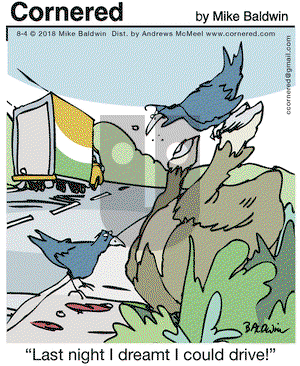 Cornered on Saturday August 4, 2018 Comic Strip
