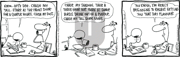 The Duplex on Wednesday February 16, 2000 Comic Strip