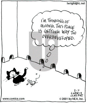Kit 'N' Carlyle on Wednesday February 7, 2001 Comic Strip