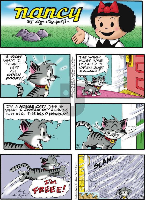 Nancy on Sunday July 2, 2017 Comic Strip