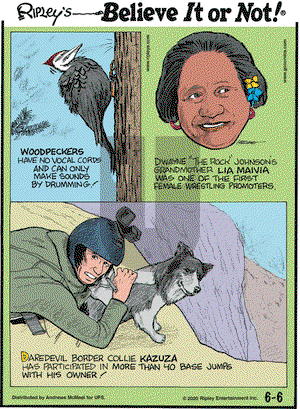 Ripley's Believe It or Not on Saturday June 6, 2020 Comic Strip