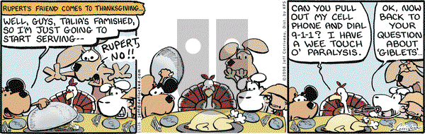 DeFlocked on Wednesday November 26, 2008 Comic Strip