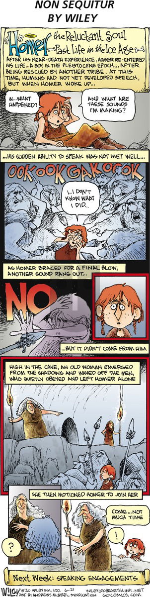 Non Sequitur on Sunday June 21, 2020 Comic Strip