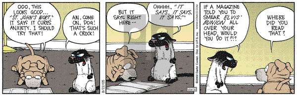 Get Fuzzy on Tuesday May 23, 2006 Comic Strip