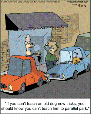 The Flying McCoys on Saturday October 25, 2008 Comic Strip
