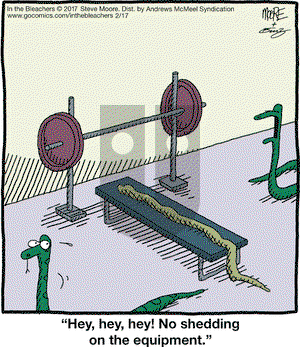 In the Bleachers on Friday February 17, 2017 Comic Strip