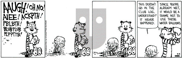 Calvin and Hobbes on Wednesday August 18, 1993 Comic Strip