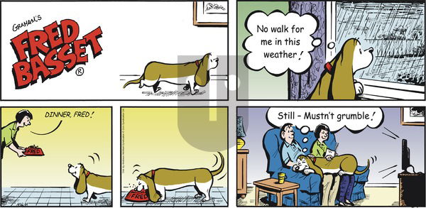 Fred Basset on Sunday October 31, 2021 Comic Strip