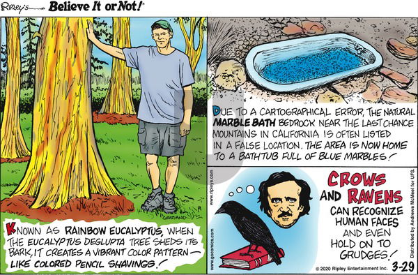 Ripley's Believe It or Not on Sunday March 29, 2020 Comic Strip