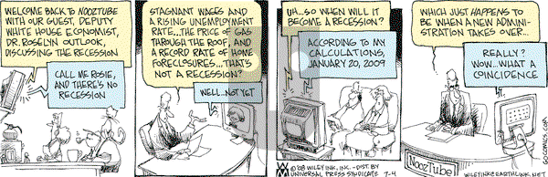 Non Sequitur on Friday July 4, 2008 Comic Strip