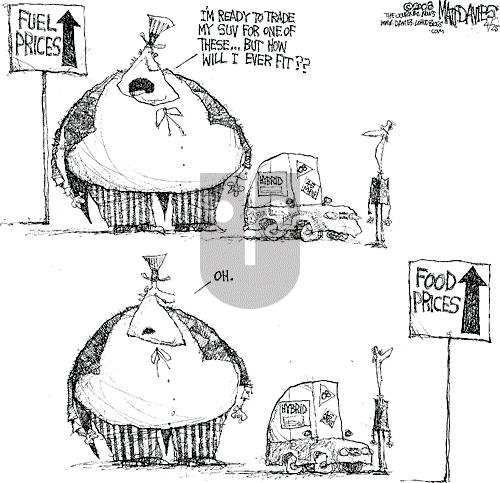 Matt Davies on Friday April 25, 2008 Comic Strip