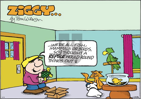 Ziggy on Sunday May 19, 2013 Comic Strip