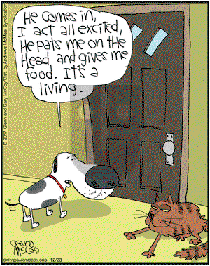 The Flying McCoys on Saturday December 23, 2017 Comic Strip