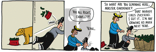 Overboard on Tuesday September 21, 2010 Comic Strip