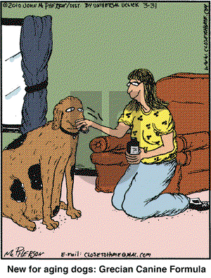 Close to Home on Wednesday March 31, 2010 Comic Strip