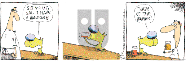 The Duplex on Saturday June 9, 2007 Comic Strip