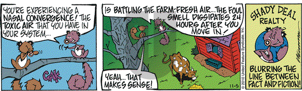 Rose is Rose on Friday November 5, 2010 Comic Strip