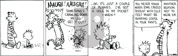 Calvin and Hobbes - Friday April 2, 1993 Comic Strip