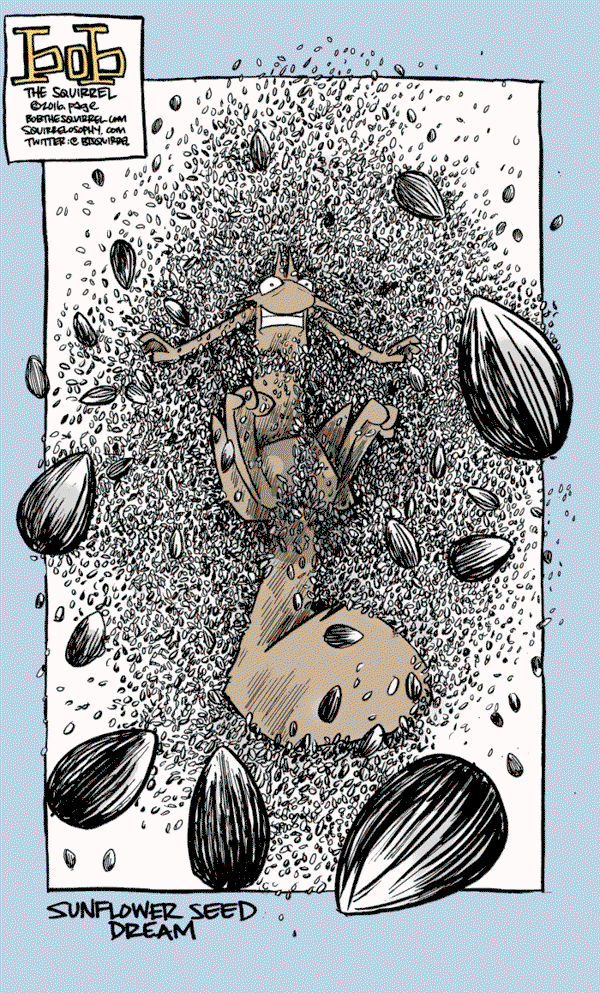 Bob the Squirrel - Sunday September 25, 2016 Comic Strip
