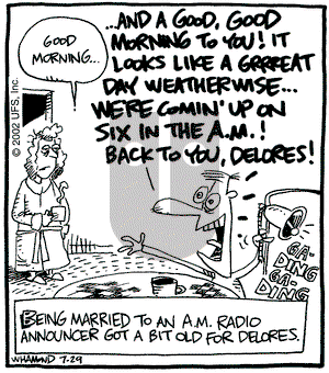 Reality Check on Monday July 29, 2002 Comic Strip