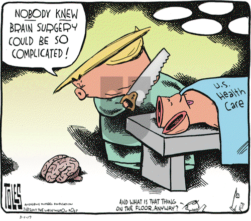 Tom Toles on Wednesday March 1, 2017 Comic Strip