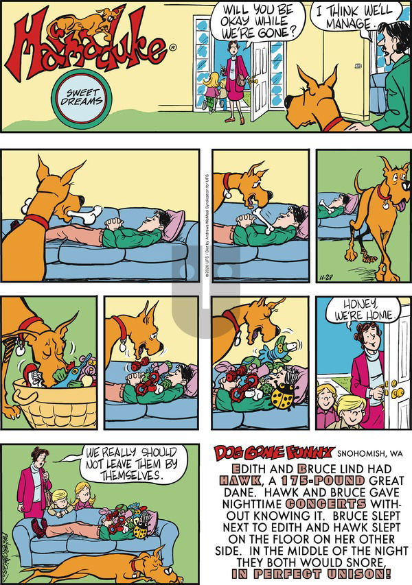 Marmaduke on Sunday November 29, 2020 Comic Strip