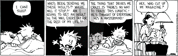 Calvin and Hobbes - Wednesday November 11, 1992 Comic Strip