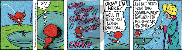 Rose is Rose on Saturday July 9, 2016 Comic Strip