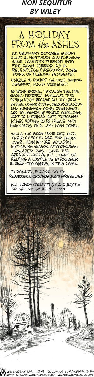 Non Sequitur on Sunday December 3, 2017 Comic Strip