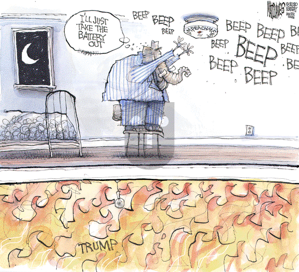Matt Davies on Friday January 24, 2020 Comic Strip