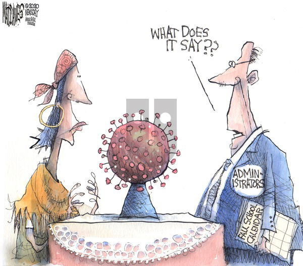 Matt Davies on Sunday August 16, 2020 Comic Strip