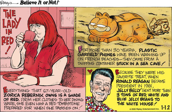 Ripley's Believe It or Not on Sunday January 12, 2020 Comic Strip