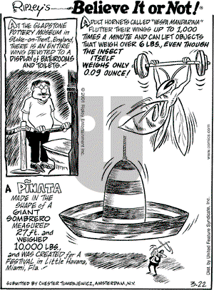 Ripley's Believe It or Not on Thursday March 22, 2001 Comic Strip