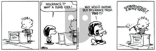 Calvin and Hobbes on Friday May 10, 1991 Comic Strip