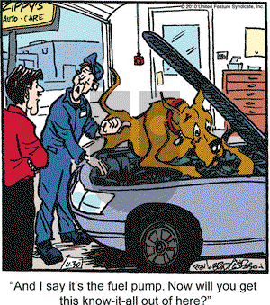 Marmaduke on Tuesday November 30, 2010 Comic Strip