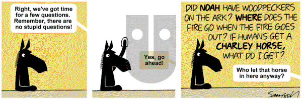 Dark Side of the Horse on Wednesday December 11, 2019 Comic Strip