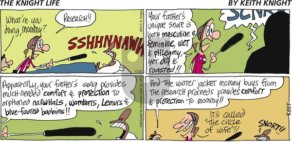 The Knight Life on Sunday December 20, 2015 Comic Strip