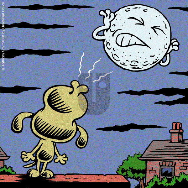 Cattitude — Doggonit - Wednesday June 19, 2024 Comic Strip