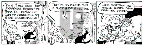 Soup to Nutz - Old on Saturday February 5, 2005 Comic Strip