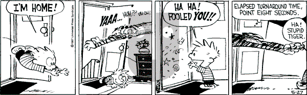 Calvin and Hobbes - Wednesday May 27, 1987 Comic Strip