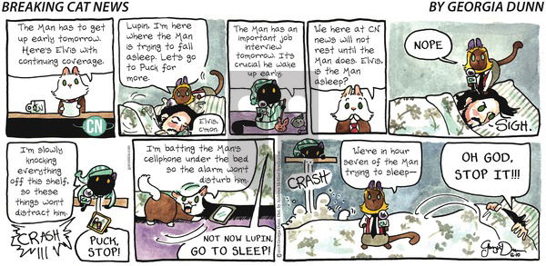Breaking Cat News on Sunday June 10, 2018 Comic Strip