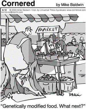 Cornered on Sunday August 17, 2008 Comic Strip