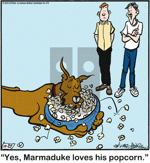 Marmaduke on Tuesday October 27, 2020 Comic Strip