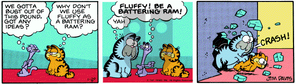 Garfield on Friday January 30, 1981 Comic Strip